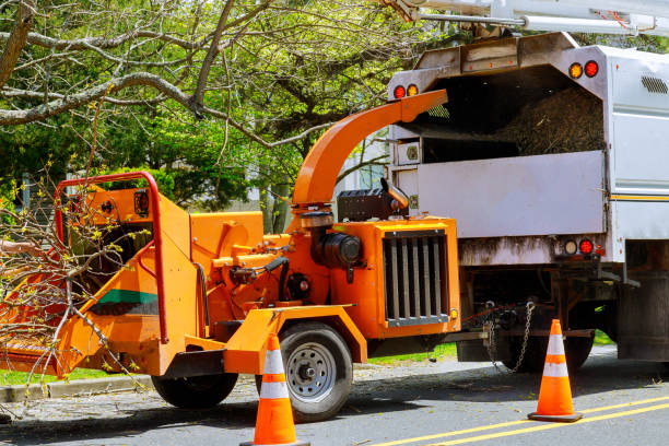 Best Professional Tree Care  in Prichard, AL